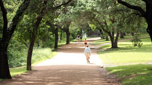 Tree-lined park path with people walking in the distance
